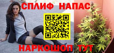 экстази Гай