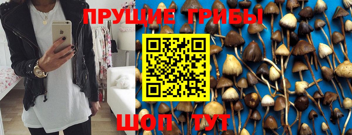 Псилоцибиновые грибы Cubensis  Псилоцибиновые грибы ЛСД  Грозный  Вход с VPN 