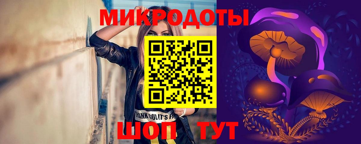 Псилоцибиновые грибы Cubensis Грозный